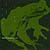 frogs